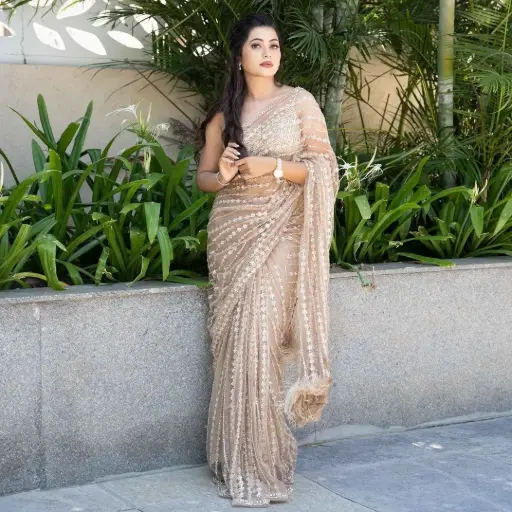 Soft Net Sequance Embroidery work with feather lace in pallu border Saree