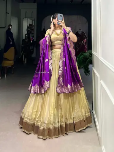Plain With Paithani Lace Border Lehenga Choli