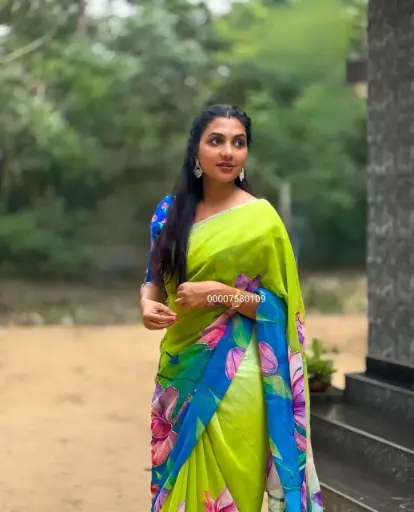 Soft Pure Georgette Handwork Saree